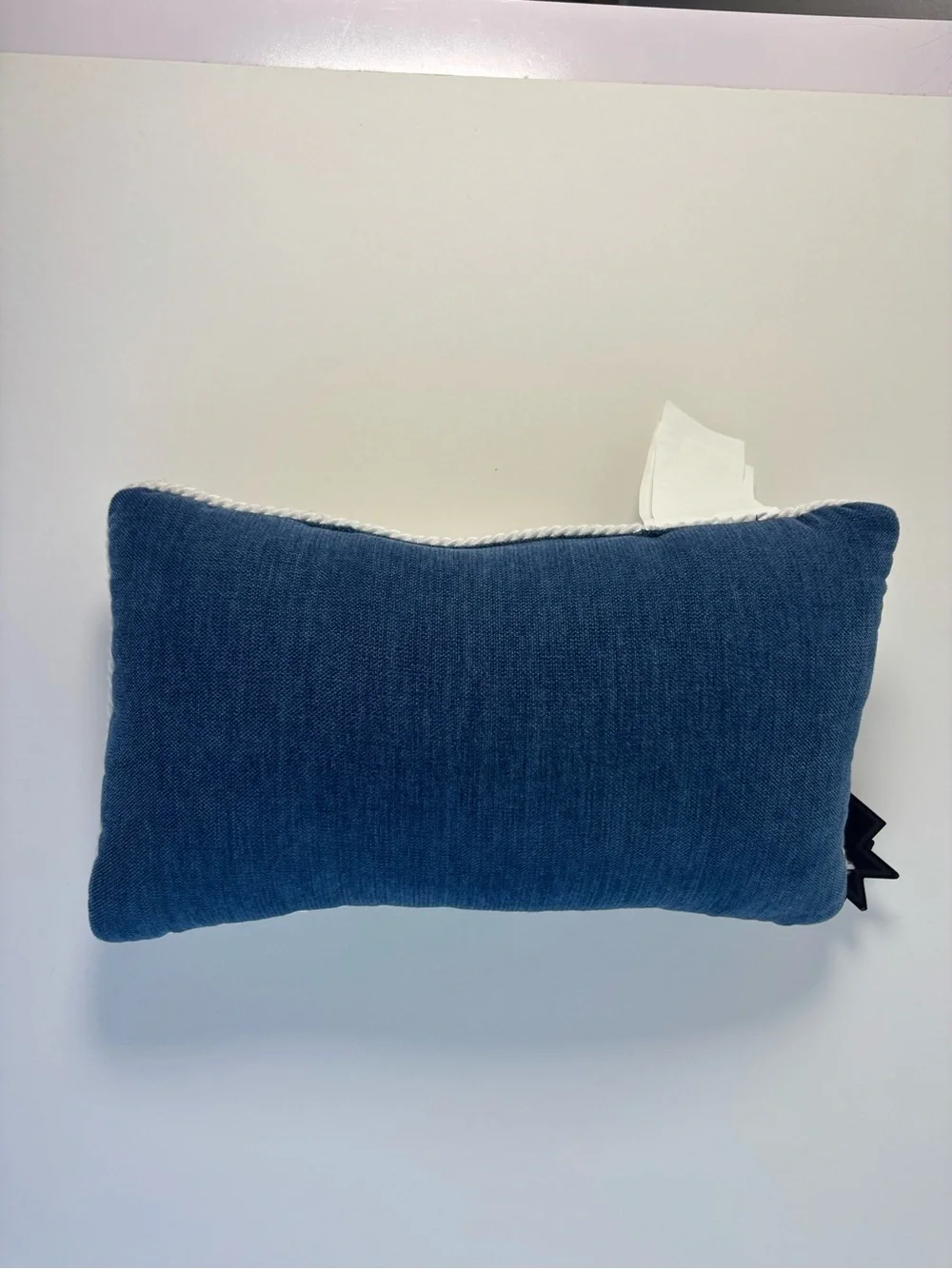Viral Gone Fishing Decorative Pillow - Blue and White